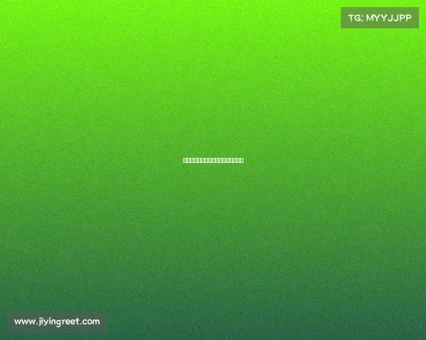 足球宝贝绿茵绽放，激情助威赛场风采